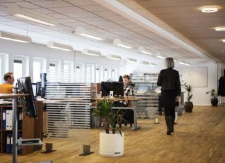 Nadużycia władzy publicznej: jakie kary grożą urzędnikom?