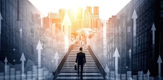 Fake sklepy internetowe – jak je rozpoznać zanim student straci pieniądze