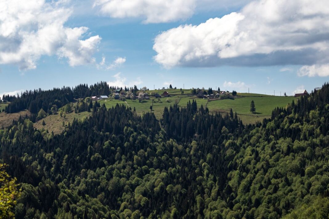 ktora-agencja-nieruchomosci-pomoze-mi-w-zakupie-nieruchomosci-w-beskidach